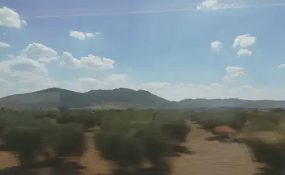 Spanish countryside from the train at 300km/h